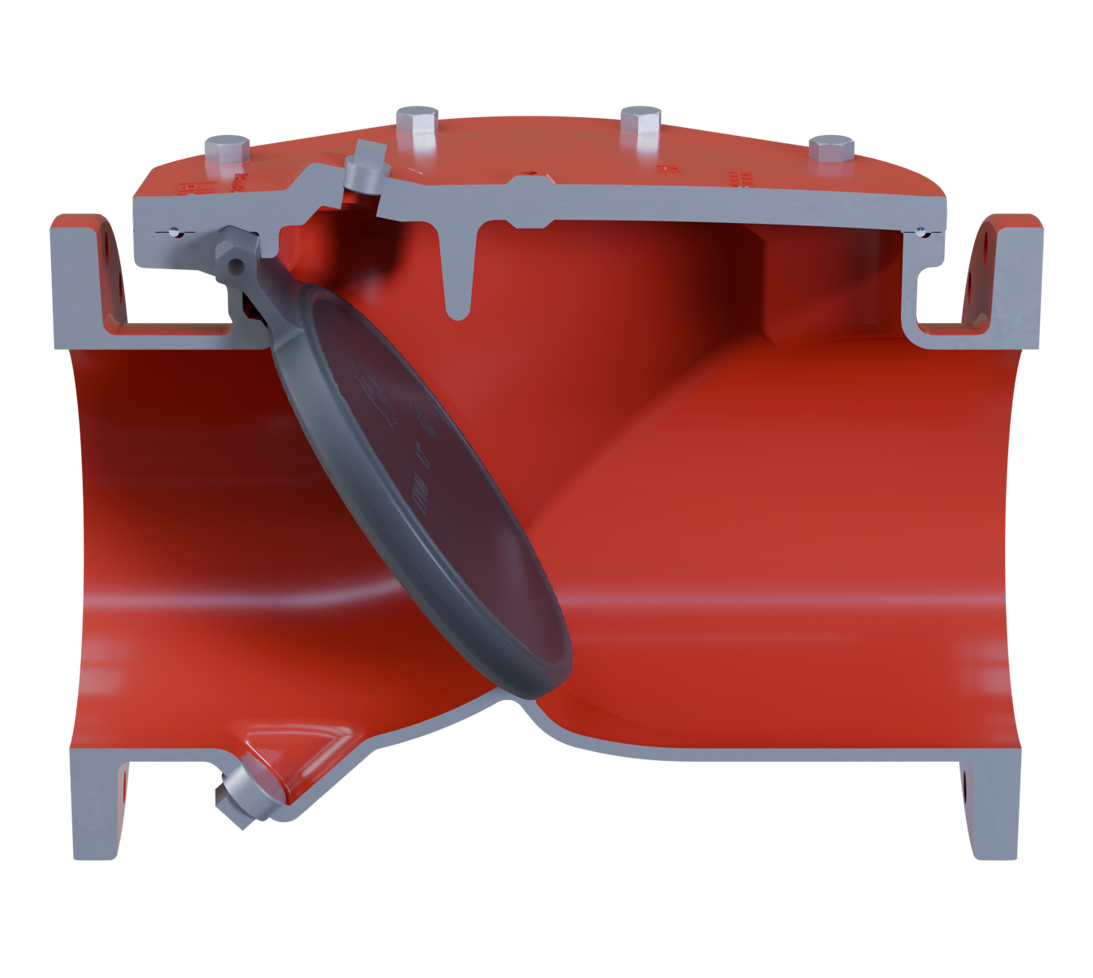 KEN-FLEX Check Valves (AIS/BABA) Photo #4